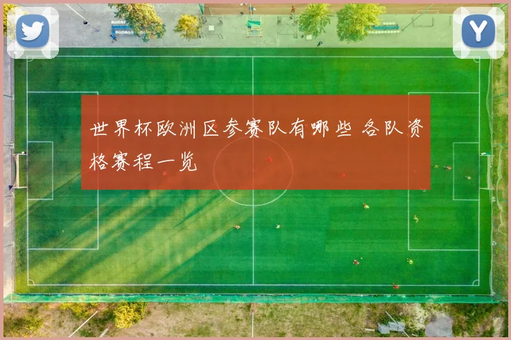 世界杯欧洲区参赛队有哪些 各队资格赛程一览