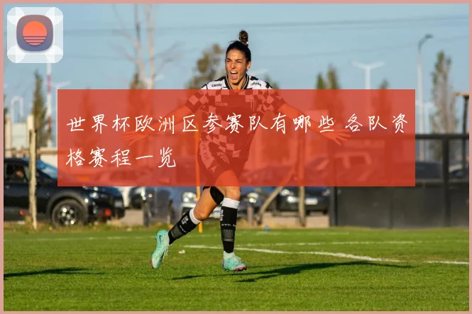 世界杯欧洲区参赛队有哪些 各队资格赛程一览