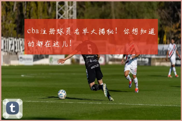 cba注册球员名单大揭秘！你想知道的都在这儿！