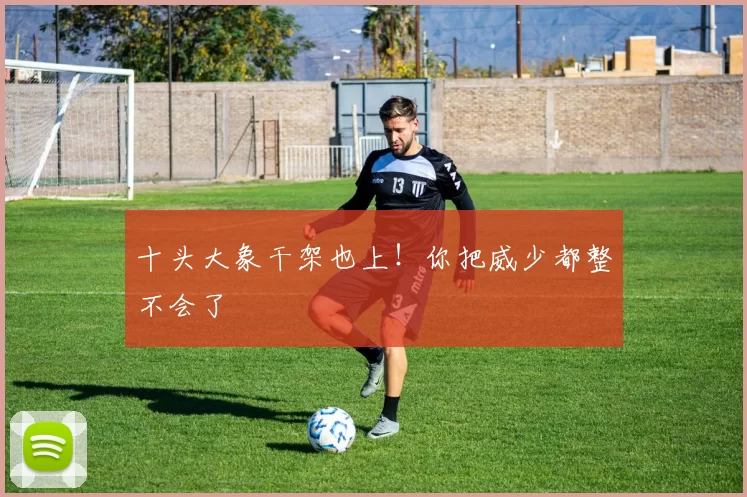 十头大象干架也上！你把威少都整不会了