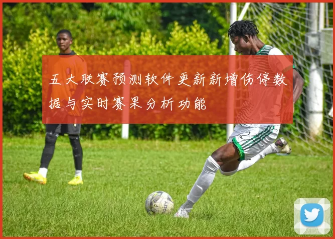 五大联赛预测软件更新新增伤停数据与实时赛果分析功能