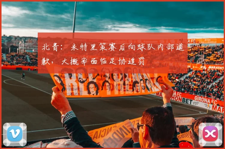 北青:米特里策赛后向球队内部道歉,大概率面临足协追罚